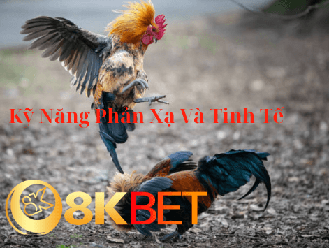 Tìm hiểu Kỹ Năng Phản Xạ Và Tinh Tế Khi Cược Đá Gà Hồi Mã Thương của 8kbet